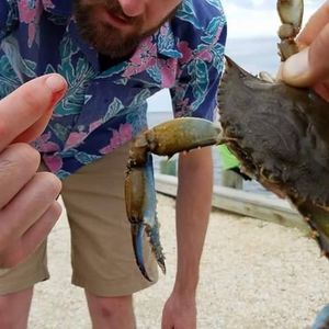 Meet your Posher, Sean